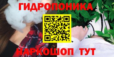 a pvp Вышний Волочёк
